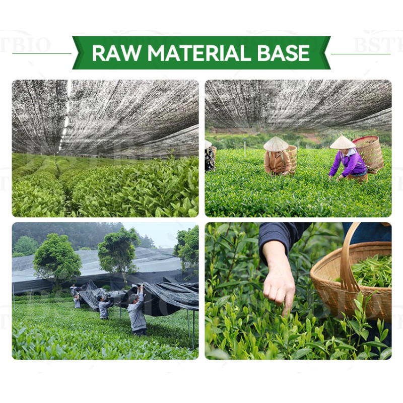 Wholesale Organic Te Matcha Green Tea Matcha Powder Buy Private Label Ceremonial Grade Matcha