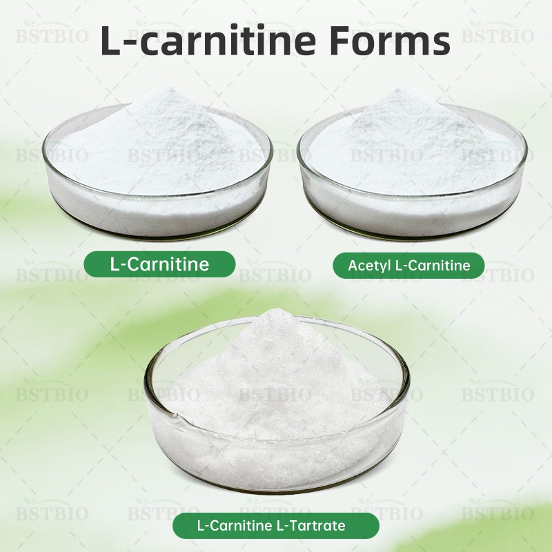 BSTBIO CAS 5080-50-2 99% ALC Acetyl-L-Carnitine Powder