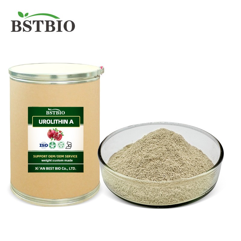Wholesale Supply Bulk Urolithin-a 98% Urolithin A Supplement Urolithin A Powder