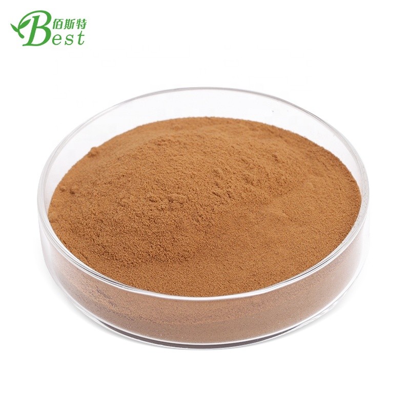 Best Sale Shrub Chastetree Fruit Extract/chaste Berry Extract Powder