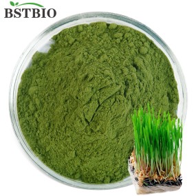 BSTBIO USA/EU Organic Wheatgrass Juice Powder Wheat Grass Powder