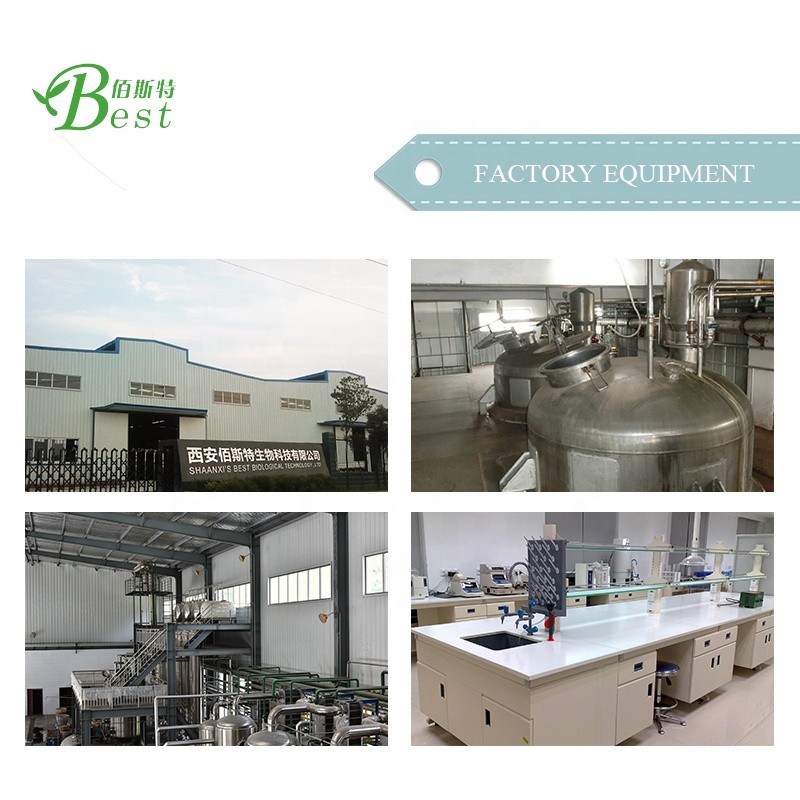 Manufacturer Supply High Quality Sheep Placenta Extract Powder 99%