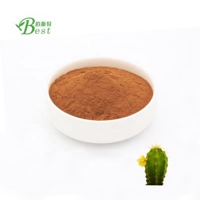 Natural Hoodia Cactus Plant /Prickly Pear Fruit Extract Powder 10:1