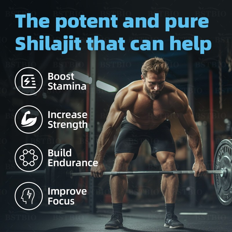 BSTBIO OEM/ODM Natural Himalayan Shilajit Extract 60gummies/Bottle Shilajit Gummies