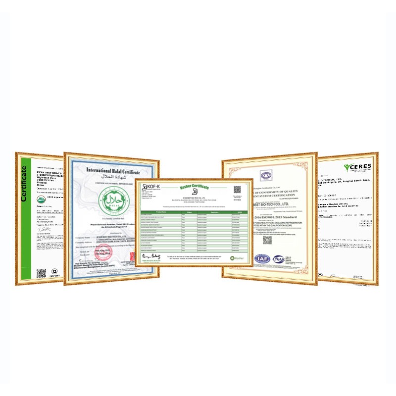 Wholesales Organic 100% Natural Pigment Black Purple Carrot Powder Concentrate Black Carrot Juice Powder