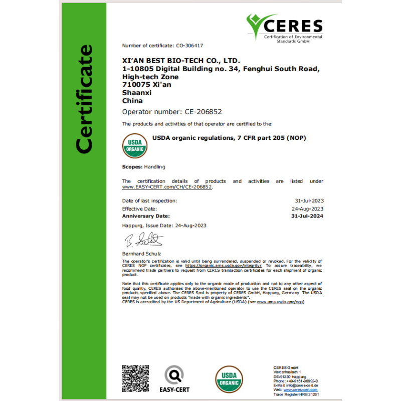 Xi'an Best Factory Wholesale Organic 100% Pure a Matcha Powder Bulk Organic Matcha Powder