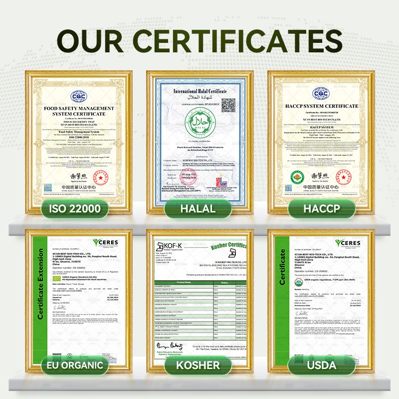 BSTBIO Organic Cordyceps Militaris Extract/Cordyceps Sinensis Extract/Cordyceps Extract Powder