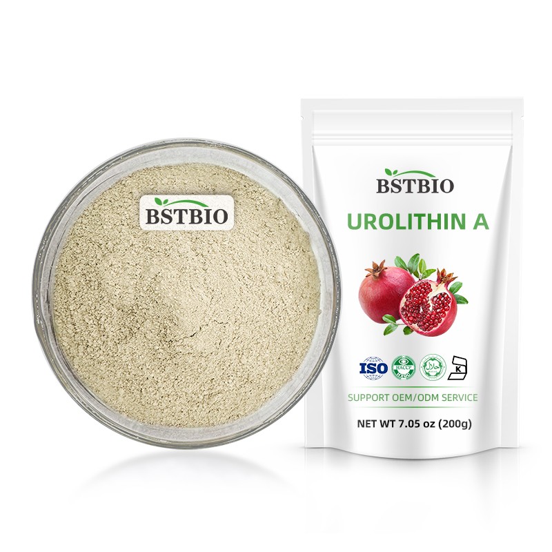 Wholesale Supply Bulk Urolithin-a 98% Urolithin A Supplement Urolithin A Powder