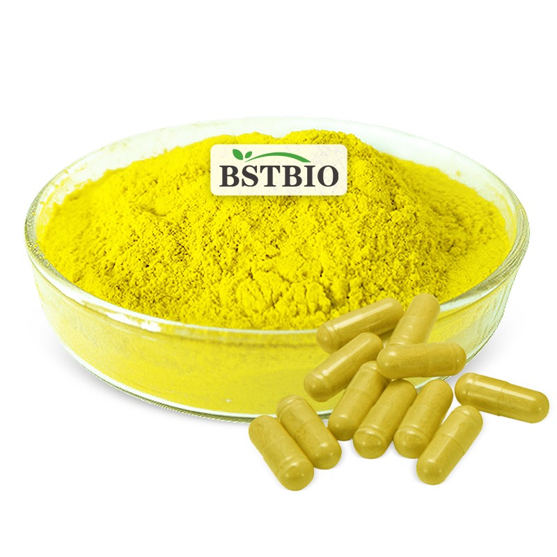 BSTBIO Supplements CAS 528-48-3 98% Fisetin Powder