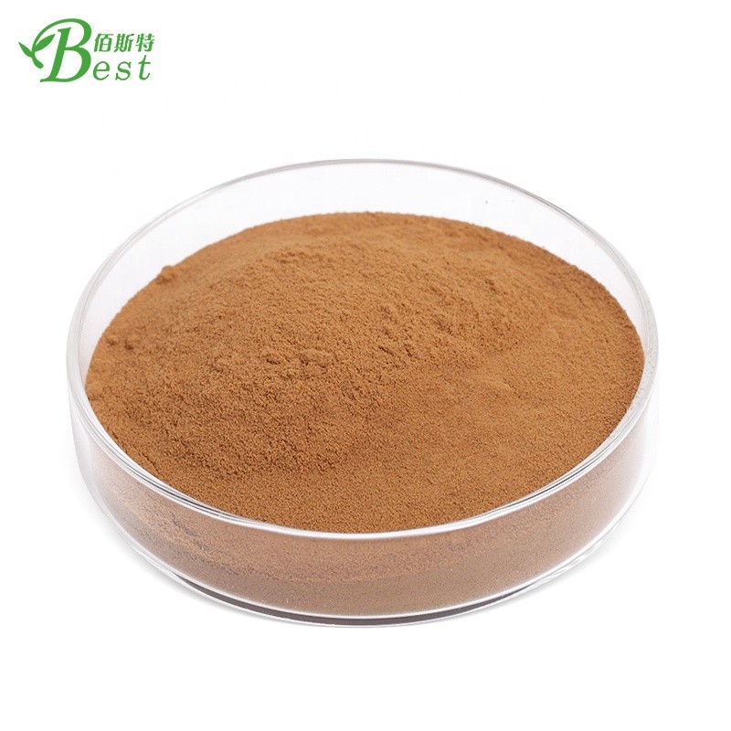 Hairyvein Agrimony P.E./Agrimonia Eupatoria 4:1, 10:1