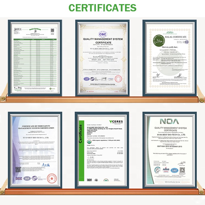 Wholesale Mushroom Polysaccharide Beta Glucan Supplement Capsules 12IN1 Capsules 1000MG Mushroom Extract Capsules