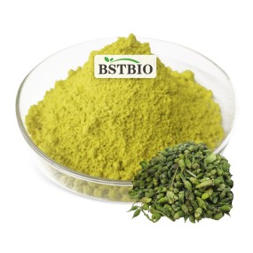 BSTBIO 100% Natural Supplement Sophora Japonica Extract Powder 95% Quercetin Dihydrate