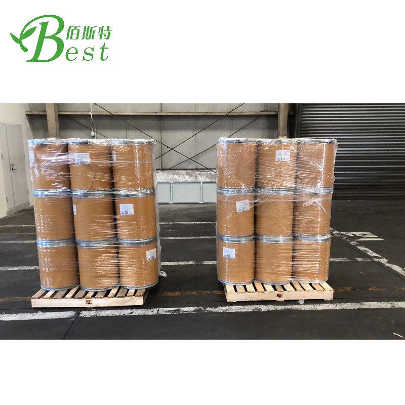 Xi'an Best Factory Wholesale Organic 100% Pure a Matcha Powder Bulk Organic Matcha Powder