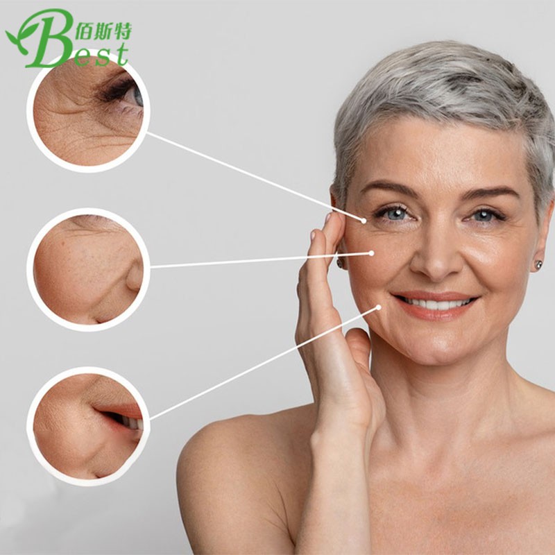 Supply Natural Ferulic Acid Rice Bran Extract 98% Pure Ferulic Acid Powder Bulk Ferulic Acid Price