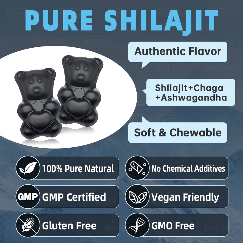 BSTBIO OEM/ODM Natural Himalayan Shilajit Extract 60gummies/Bottle Shilajit Gummies