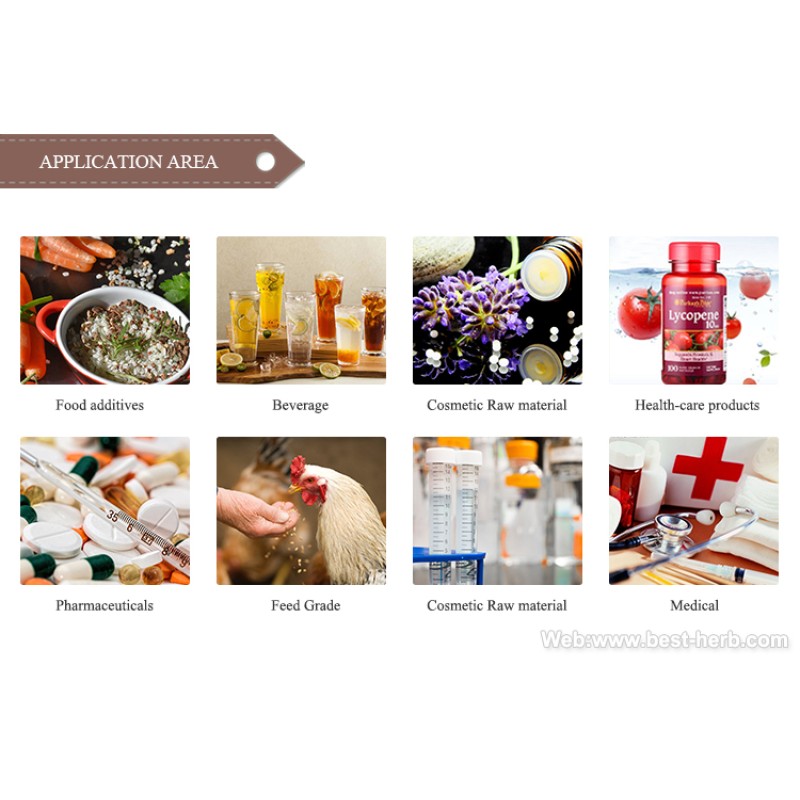 Standard Whey Protein Powder Bodybuilding Sport Nutrition Supplement Whey Powder Gold Protein Bars Protein Shake Food Grade /