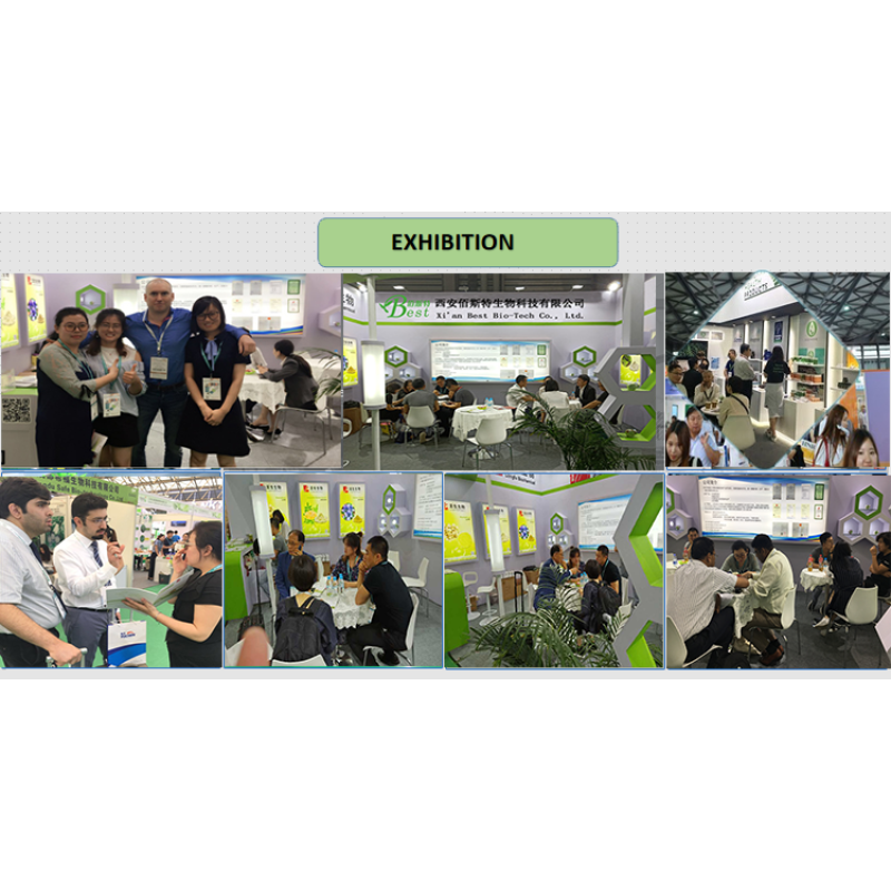 Wholesales Organic 100% Natural Pigment Black Purple Carrot Powder Concentrate Black Carrot Juice Powder