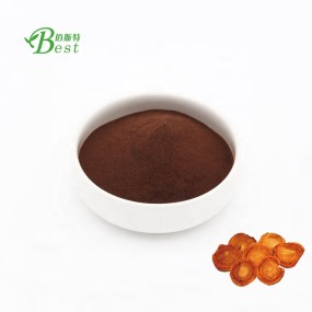 Natural  Antrodia Powder/Antrodia Cinnamomea Powder/Antrodia Camphorata Powder