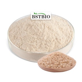 BSTBIO Non-GMO 300 Mesh 80% Organic Isolate Brown Rice Protein Powder