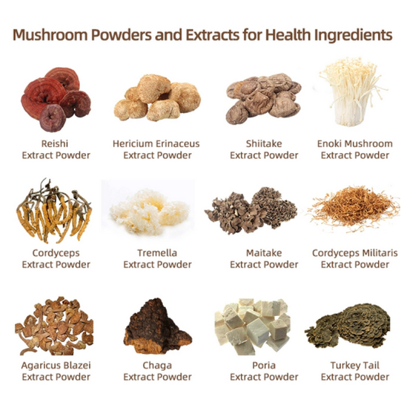 Wholesale Mushroom Polysaccharide Beta Glucan Supplement Capsules 12IN1 Capsules 1000MG Mushroom Extract Capsules