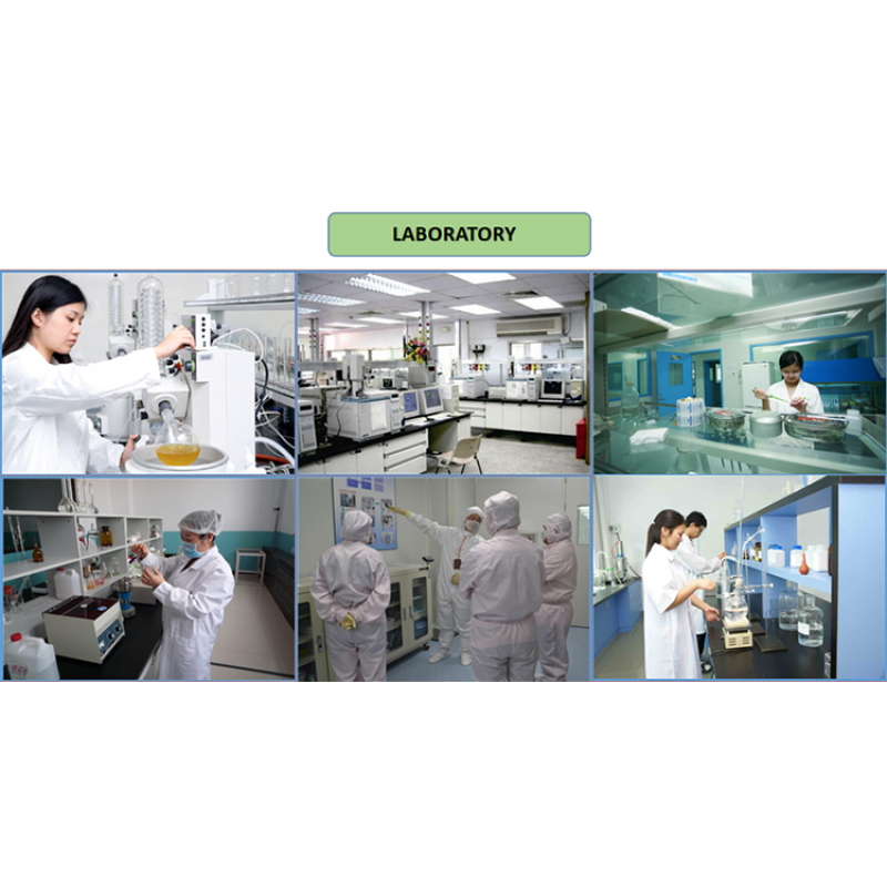 Wholesale Price Food Grade Food Additive Coloring Red Monascus Red Powder Colours Natural Pigment