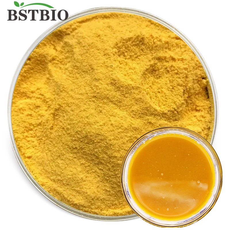 Bulk Pumpkin Fruit Powder Freeze Dried Pumpkin Powder Price 100% Pure Vegetable Pumpkin Powder