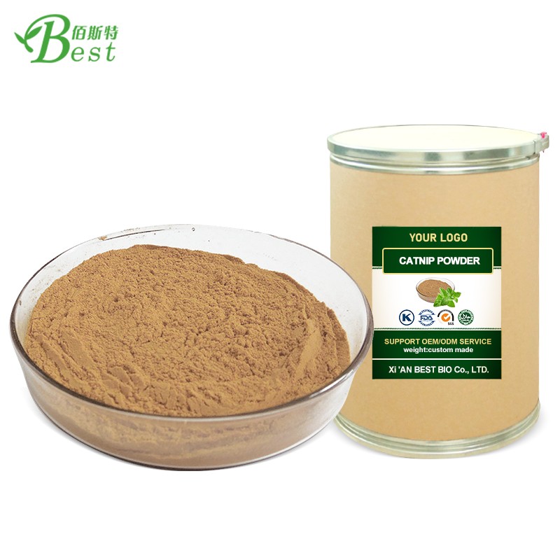 Best Price Catnip Plant Extract Powder / Nepeta Cataria Extract 10:1