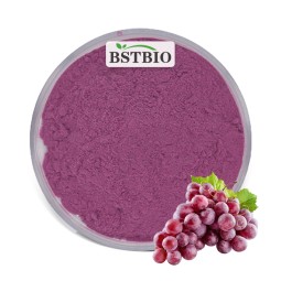 BSTBIO Supply Food Grade Red Grape Fruit Juice Powder Freeze Dried Organic Grape Powder