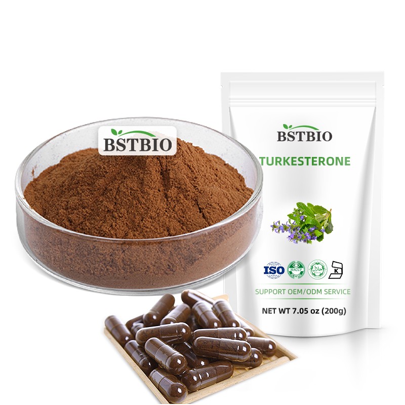 100% Natural Buy Turkesterone Capsules Ajuga Turkestanica Extract 10% Pure Turkesterone Powder