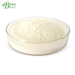 High Quality Pure Food Grade Fish Oil Dha Powder Capsule DHA Algal Oil Powder