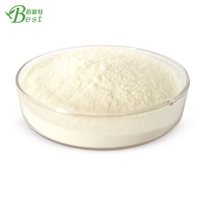 High Quality Pure Food Grade Fish Oil Dha Powder Capsule DHA Algal Oil Powder