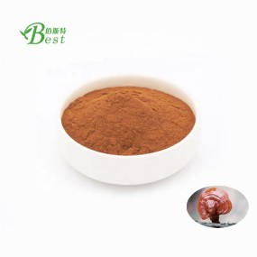 Best Quality Lucidum Ganoderma Powder/reishi Mushroom Supplement Powder/funghi Reishi