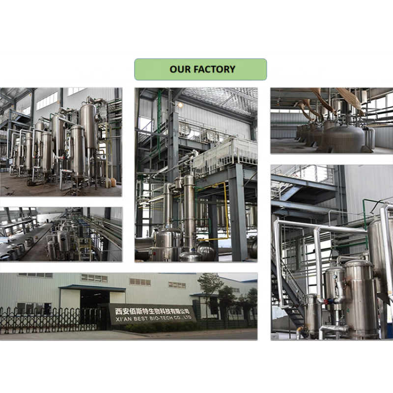 Wholesale Deep Sea Fish Oil Seaweed Powder Fatty Acid Fish Oil Capsules Softgel Halal Epa Dha Fish Oil Powder 10%