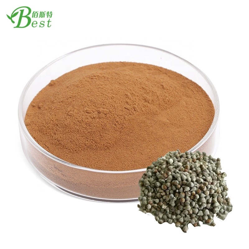 Best Sale Shrub Chastetree Fruit Extract/chaste Berry Extract Powder