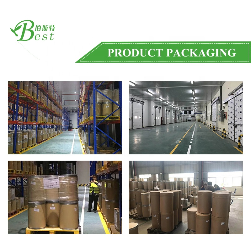 Wholesale High Quality Chinese Sunflower Seeds Sunflower Seed Sprout Protein Extract Powder