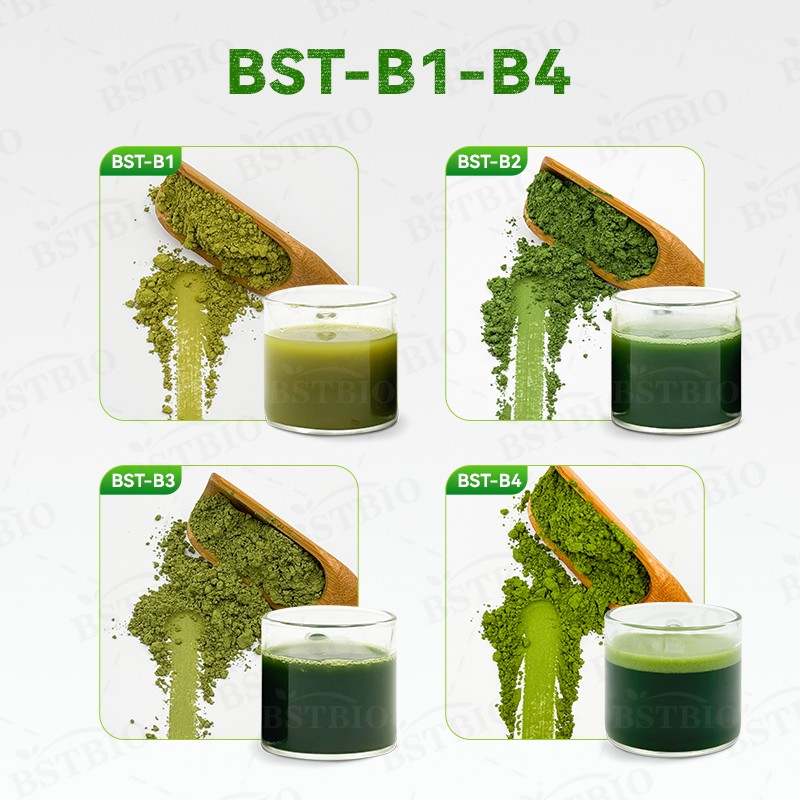Wholesale Organic Te Matcha Green Tea Matcha Powder Ceremonial Grade Matcha Private Label