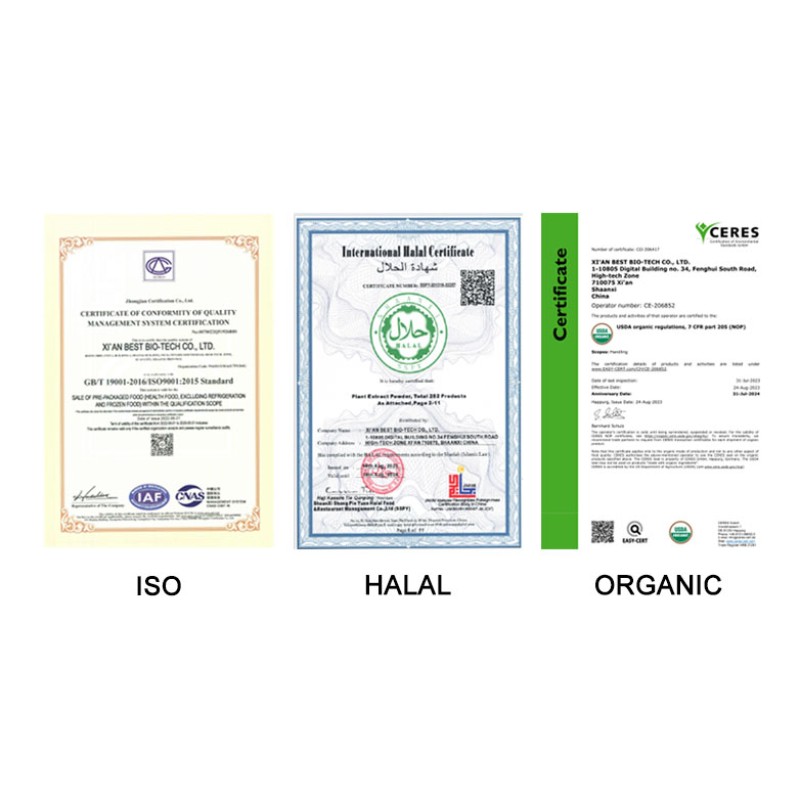 Good Quality Ginseng and Maca Tea Herbal Tea for Men Herbal Tea Bag Relax Mood