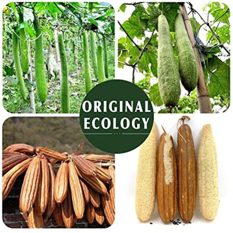 Loofah Pad Manufacturer - Natural Facial Exfoliating Scrubber