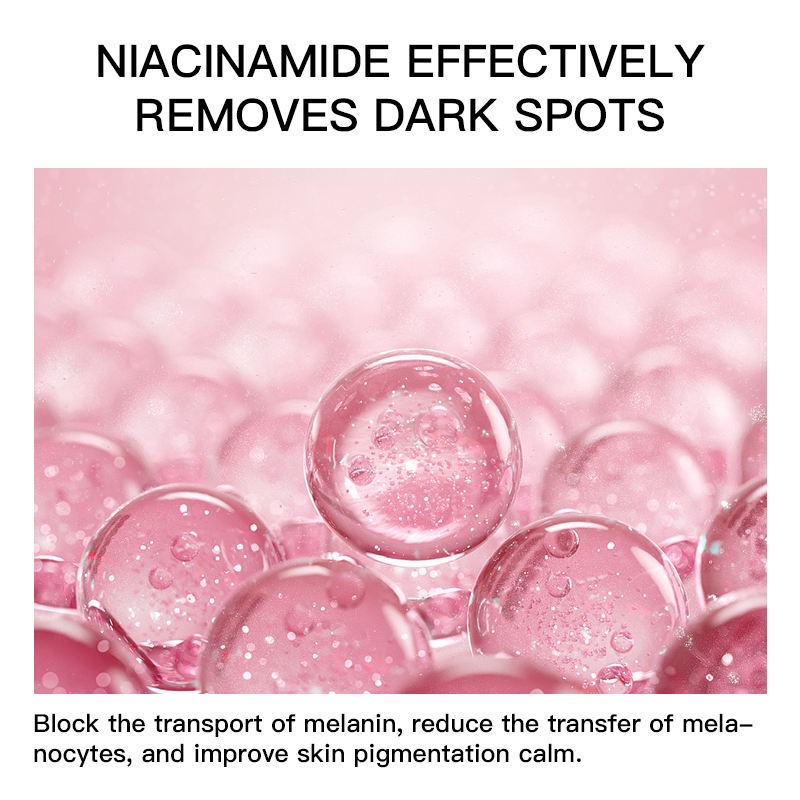 Bulk Vegan Firming Whitening Facial Cream for Dark Skin Niacinamide Anti-Aging Face Cream Camellia Main Ingredient Skin Care Set