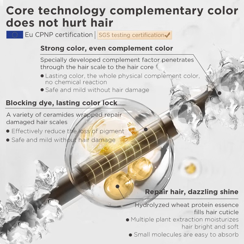 EU Authoritative Certification Two-in-One Argan Oil Shampoo and Conditioner Lasting Color Fixing Protection Washing