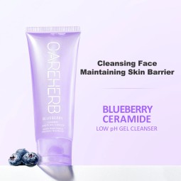 OEM ODM Blueberry Ceramide Low PH Gel Facial Cleanser Skin Repair Ance Foaming Face Wash Set for Skin Care