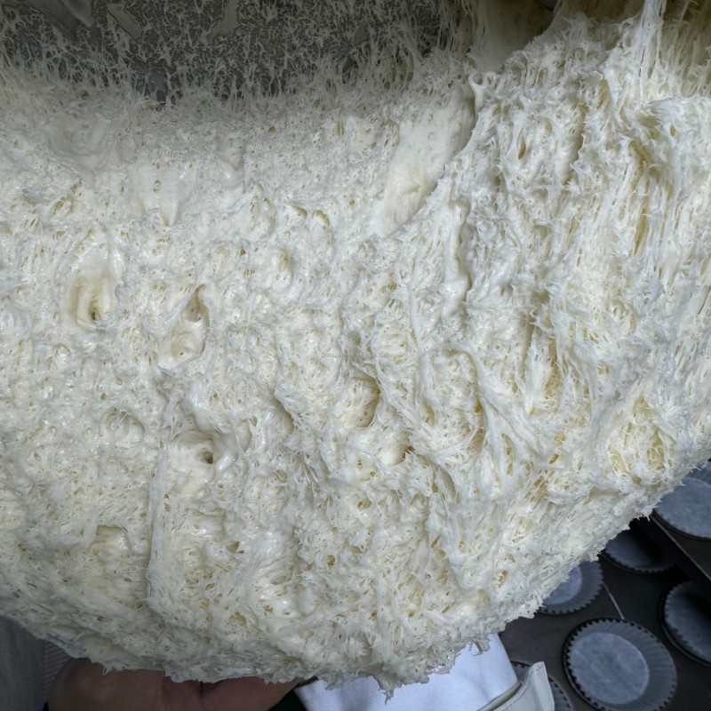 High-Activity Professional Dry Yeast Powder Nice Price Rapid-Rise Yeast from Active Manufacture