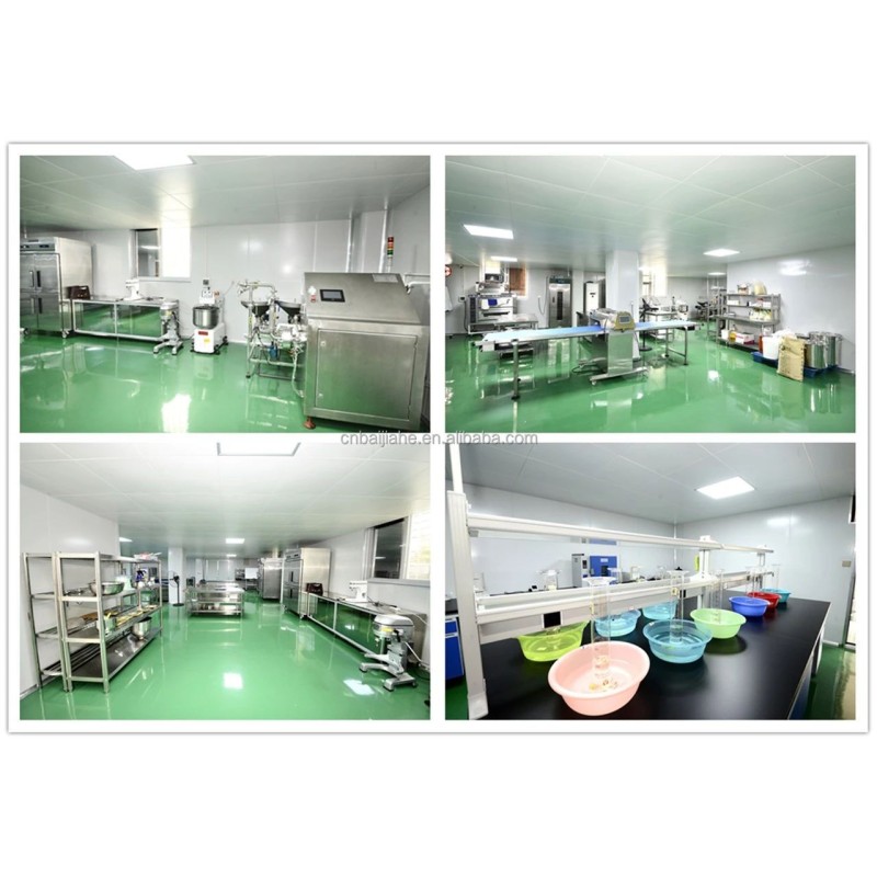 High Fermentation Instant Dry Yeast Food Grade Powder Form Supplied by Chinese Manufacturers