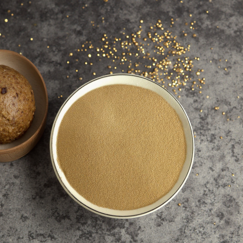 High-Activity Dry Yeast for Bread Baking and Sugar Fermentation Factory Supplied in Powder Form Fascinating Price