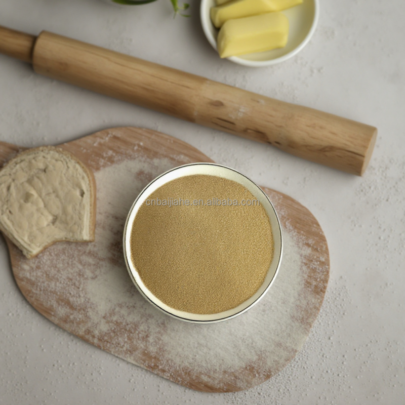 High Quality Dry Instant Yeast High-Sugar Active Packaged in 500g 5kg Bags Powder Type for Baking from Chinese Factories