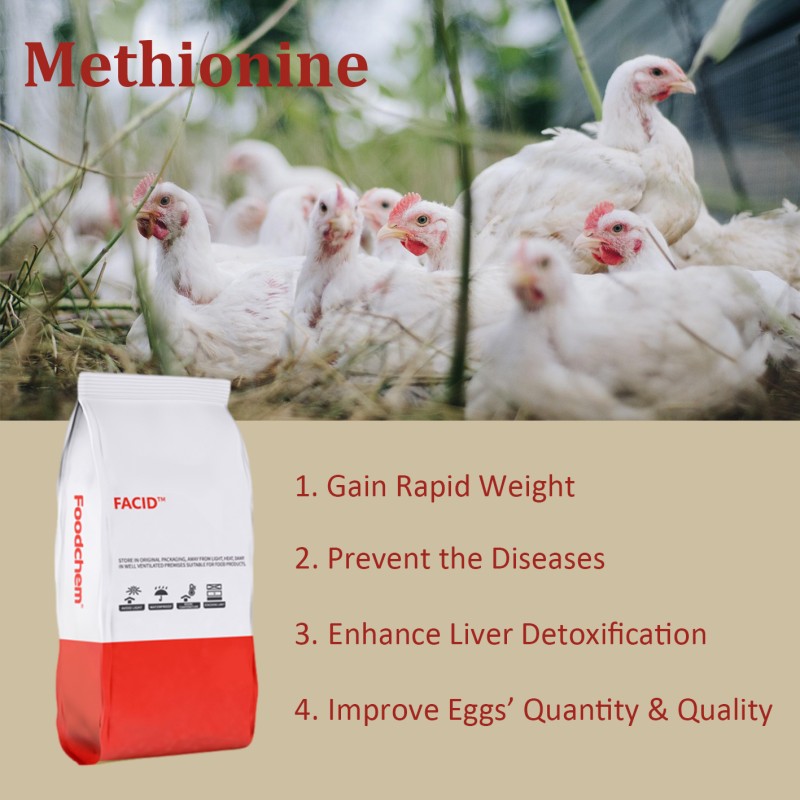 China Supplied Cost-Effective Methionine Powder Effective Animal Feed Additive Food Ingredients