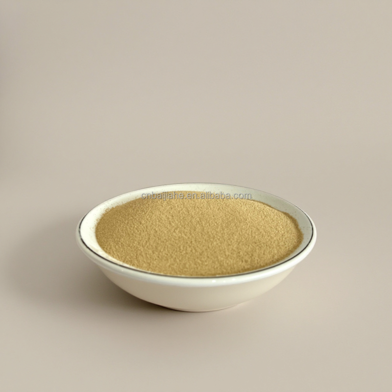 Chinese 500g Dry Yeast Bread Bio Instant Yeast Supplier Expands Packaging Emulsifier Yeast Production Line Powder Form