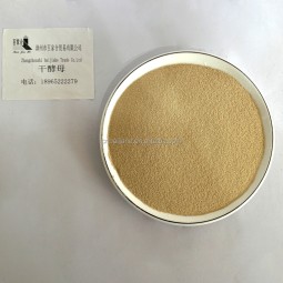 High Fermentation Instant Dry Yeast Food Grade Powder Form Supplied by Chinese Manufacturers