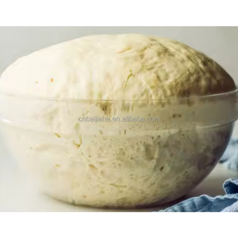 High-Activity Professional Dry Yeast Powder Nice Price Rapid-Rise Yeast from Active Manufacture