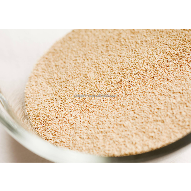 High-Activity Professional Dry Yeast Powder Nice Price Rapid-Rise Yeast from Active Manufacture